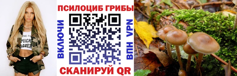 Псилоцибиновые грибы Psilocybine cubensis  Белоярский 